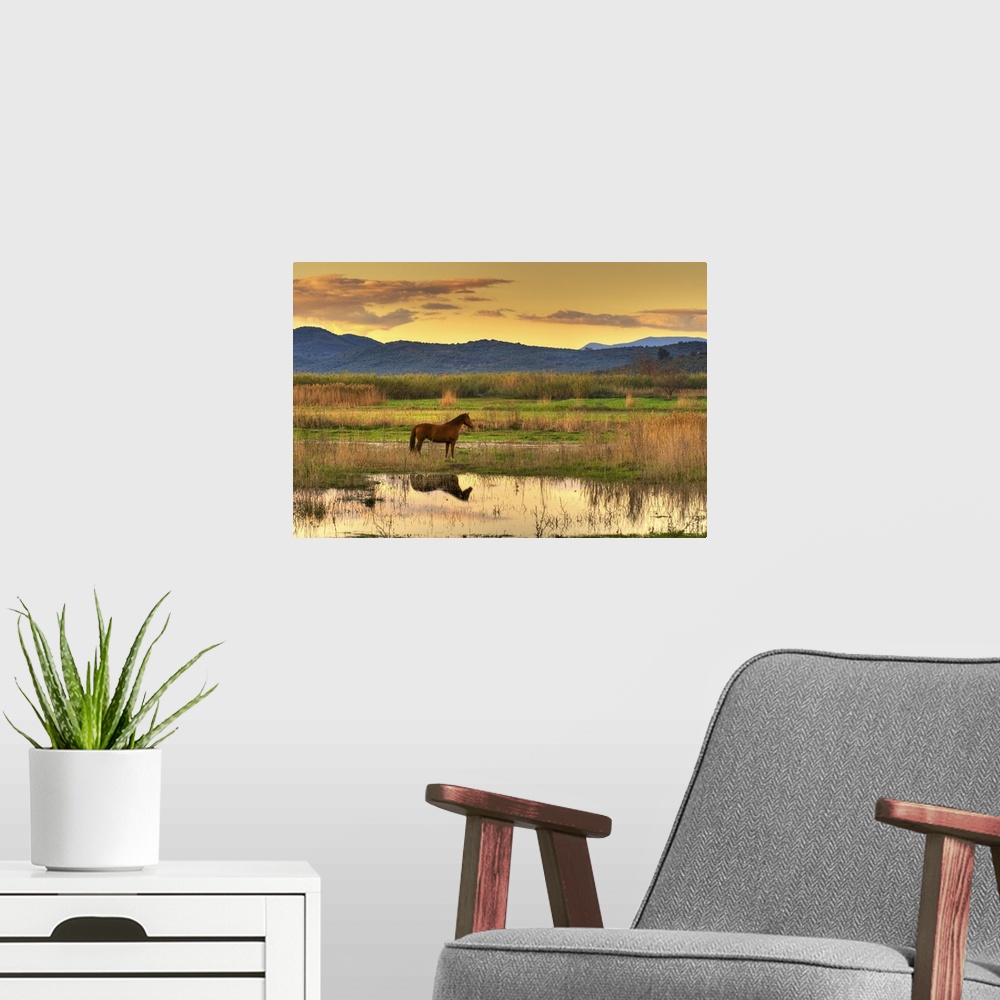A modern room featuring Lone horse in a spectacular late afternoon landscape.