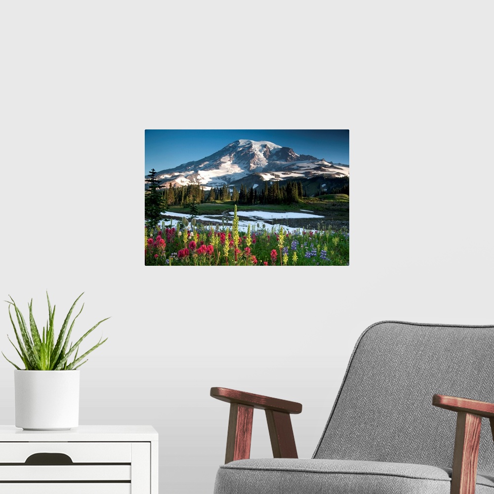 A modern room featuring Summer wildflowers blooming at Mt. Rainier national park.