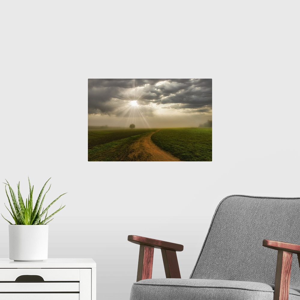 A modern room featuring Rural landscape, foggy sunrise with sunbeams breaking through the clouds, a tree and a path towar...