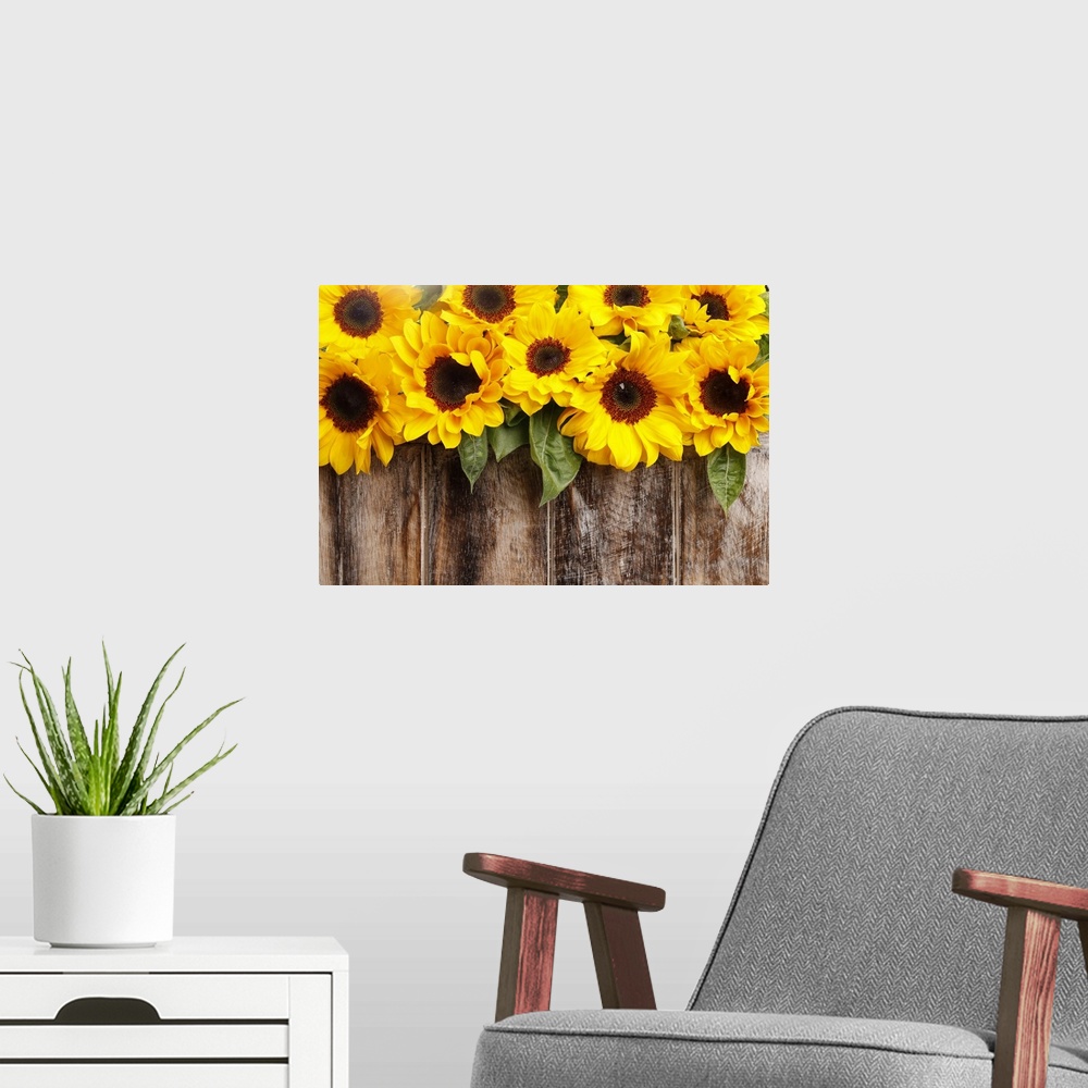 A modern room featuring Sunflowers on wooden background.
