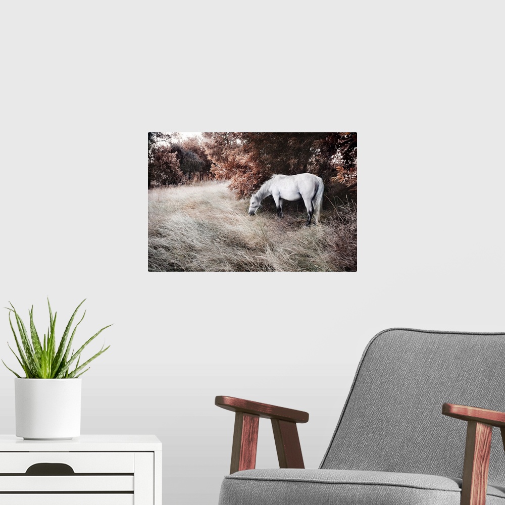 A modern room featuring Artistic image of a beautiful white horse.