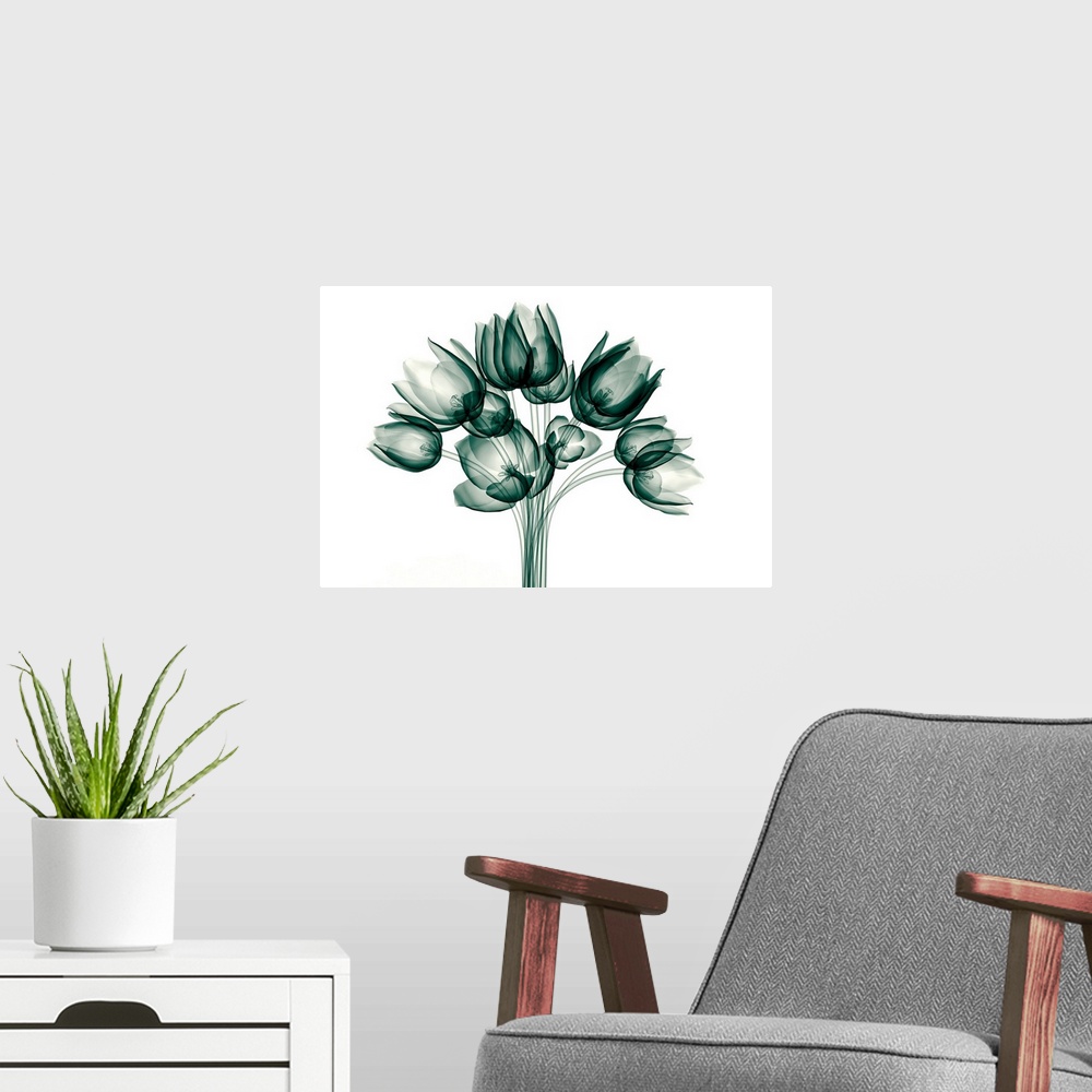 A modern room featuring X-Ray Image Of A Tulip