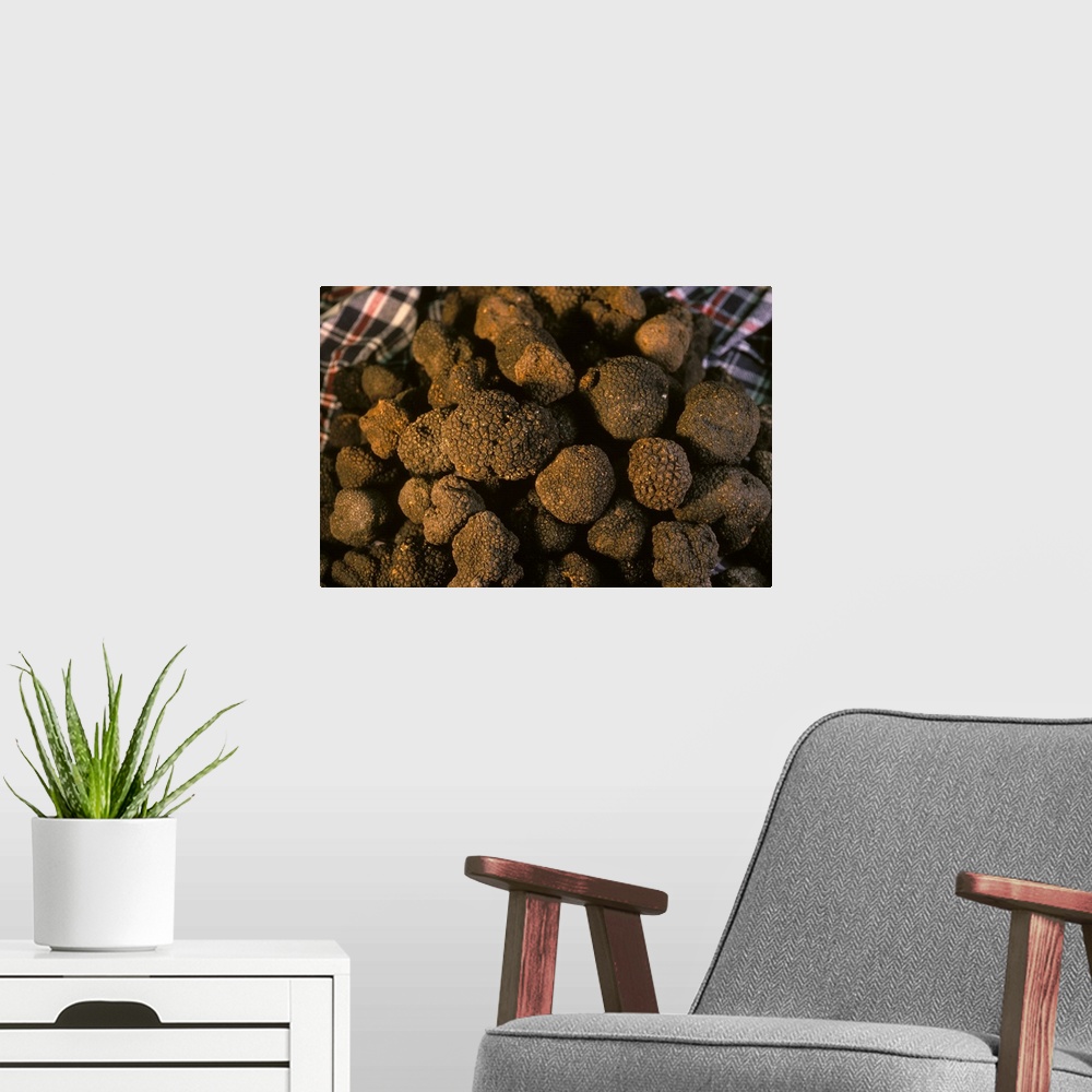 A modern room featuring Black truffles by Poddi Farm