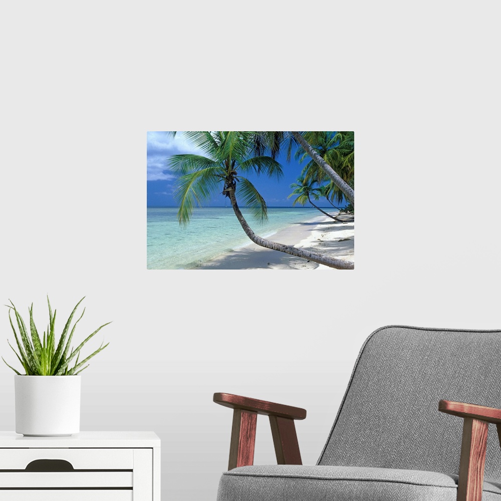 A modern room featuring La spiaggia di Pigeon Point, sull'isola di Tobago, Antille, Caraibi....Pigeon Point beach, Tobago...