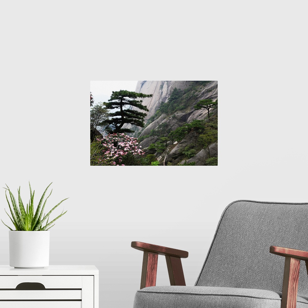A modern room featuring China, Anhui, Huangshan Mountains