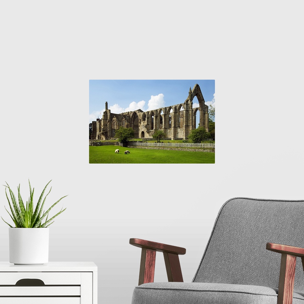 A modern room featuring United Kingdom, UK, England, Yorkshire, Yorkshire Dales National Park, Bolton Abbey, old ruin of ...