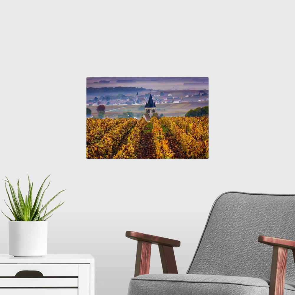 A modern room featuring France, Champagne-Ardenne, Champagne, Marne, Ville-Dommange, Vineyards in autumn
