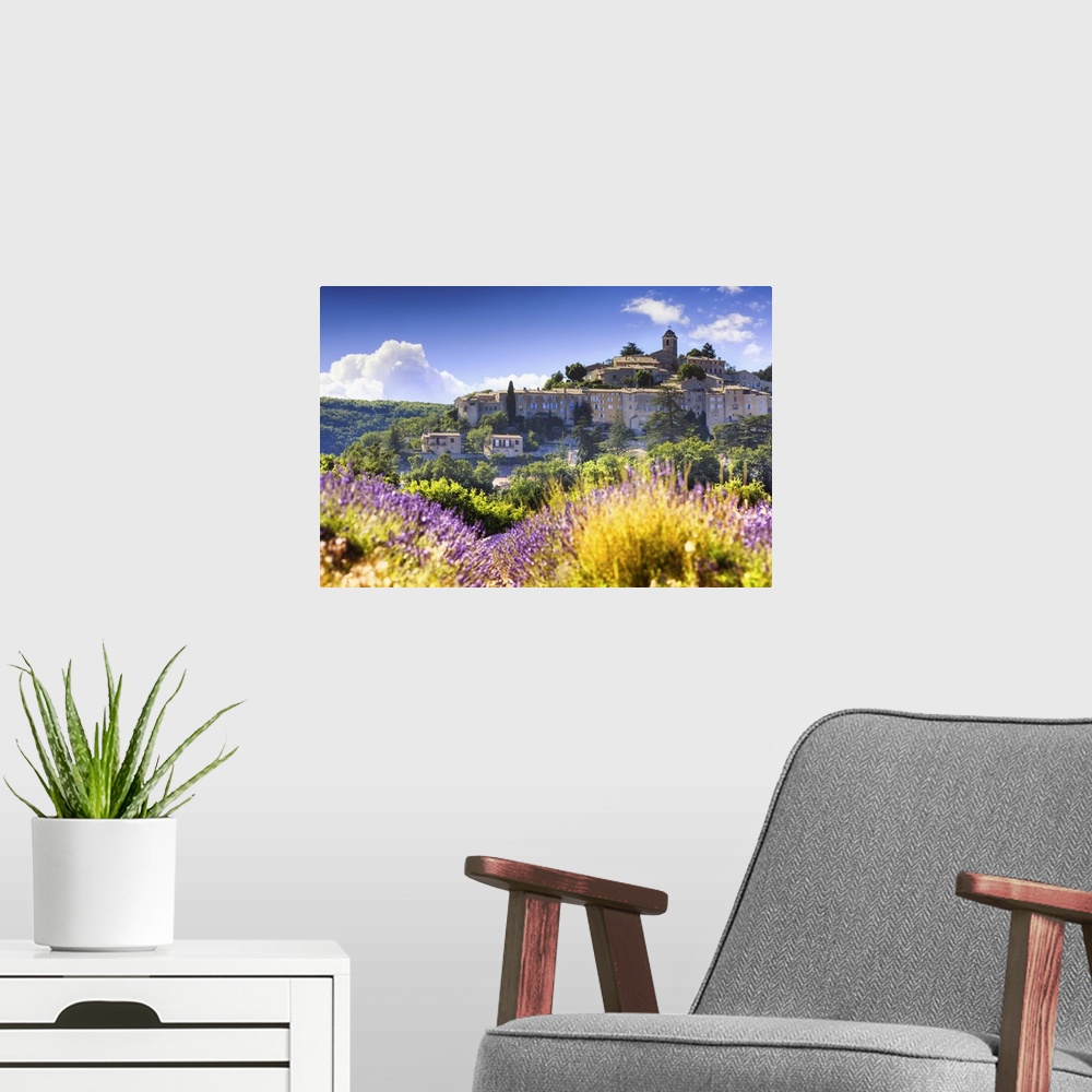 A modern room featuring France, Provence-Alpes-Cote d'Azur, Provence, Banon, Lavender field near Valensole