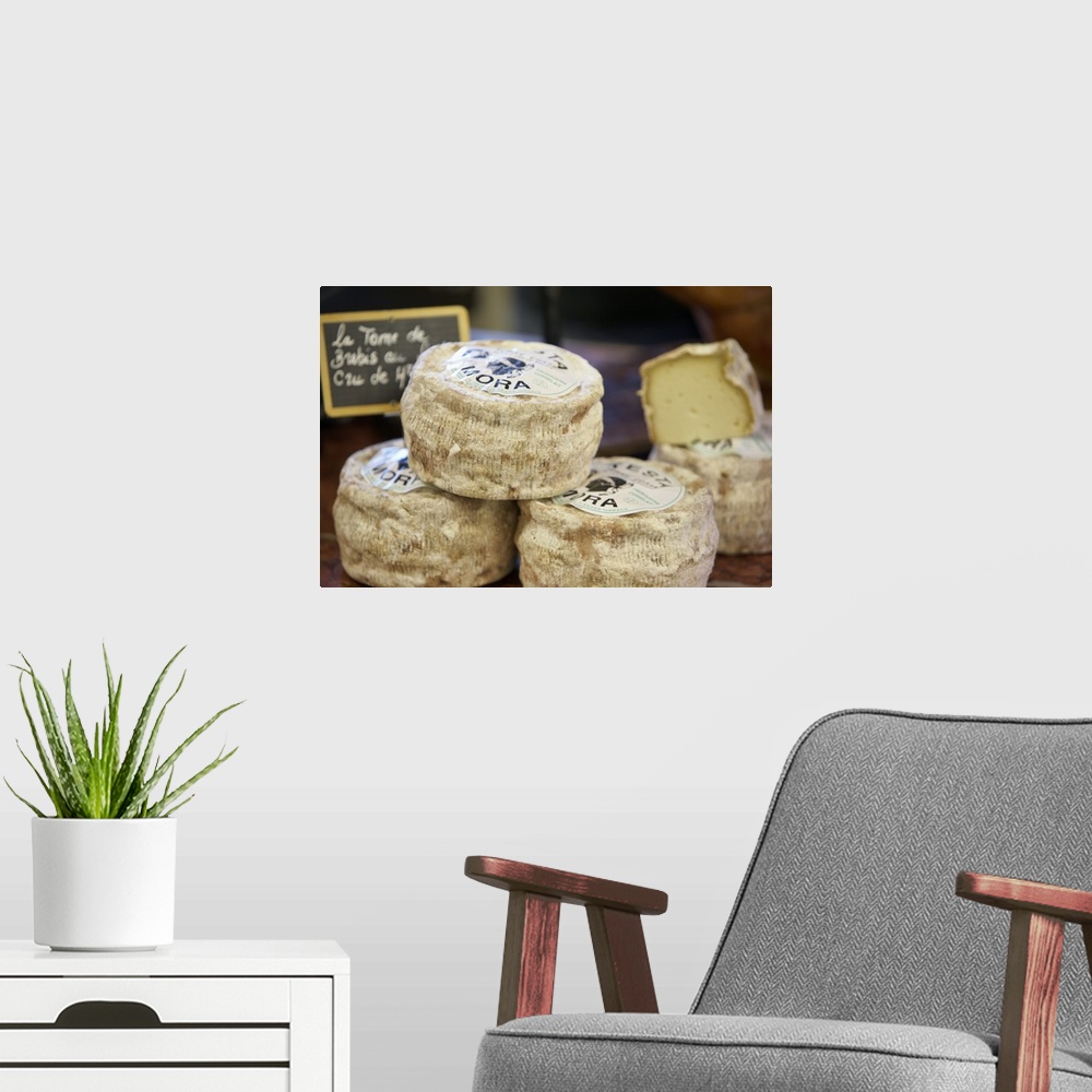 A modern room featuring France, Vaucluse, cheese in the market