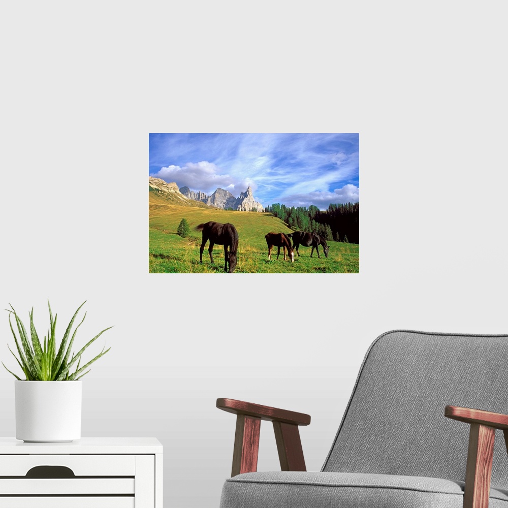 A modern room featuring Horses (Cimon della Pala mountain in background)