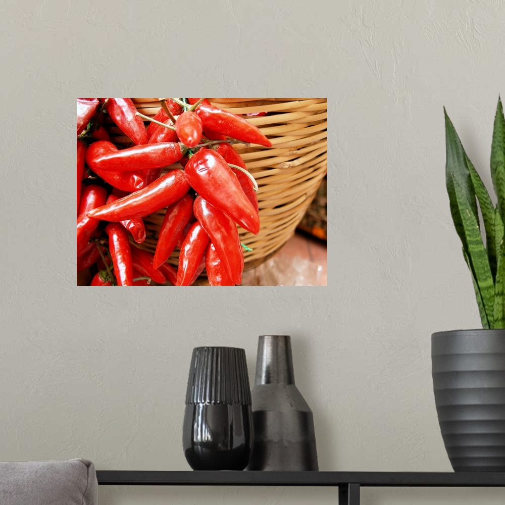 A modern room featuring Italy, Calabria, Tropea town, hot peppers