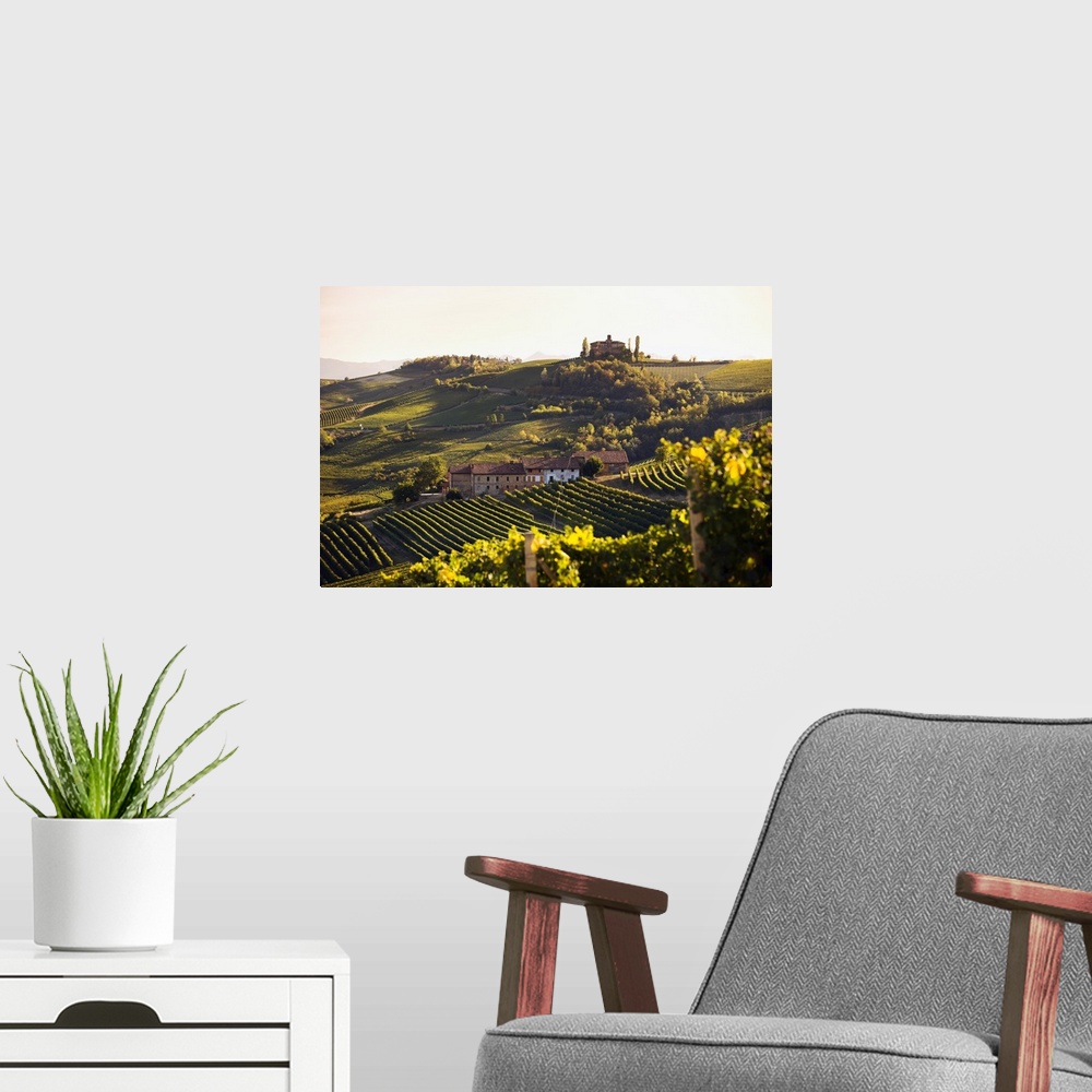 A modern room featuring Italy, Piedmont, Langhe, Barolo, Mediterranean area, Cuneo district, Travel Destination, Vineyards