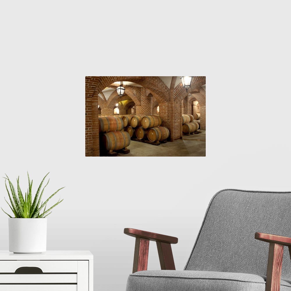 A modern room featuring Italy, Piedmont, Langhe, wine cellar of Rocche dei Manzoni Estate