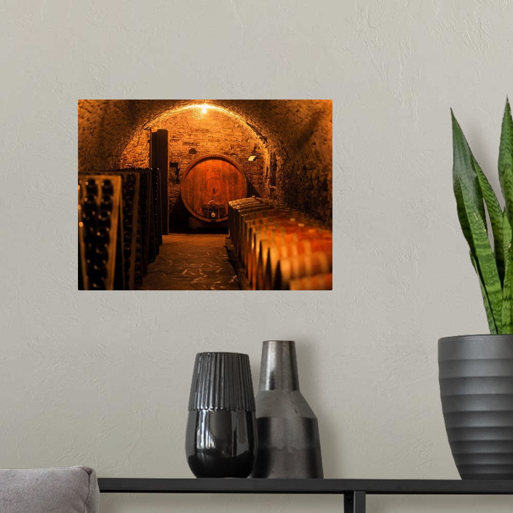A modern room featuring Italy, Trentino, Balter Farm, cellar