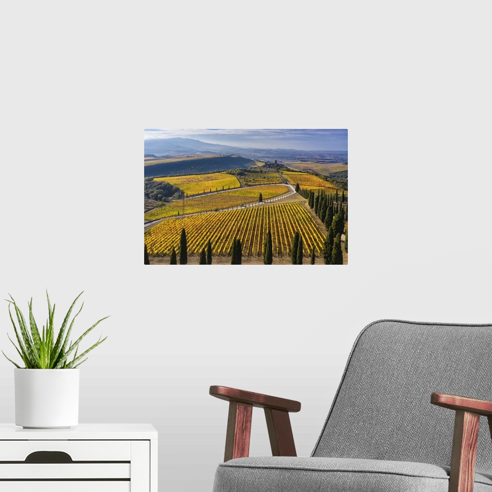 A modern room featuring Italy, Tuscany, Brunello wine road, Siena district, Orcia Valley, Montalcino, Vineyards of the Po...