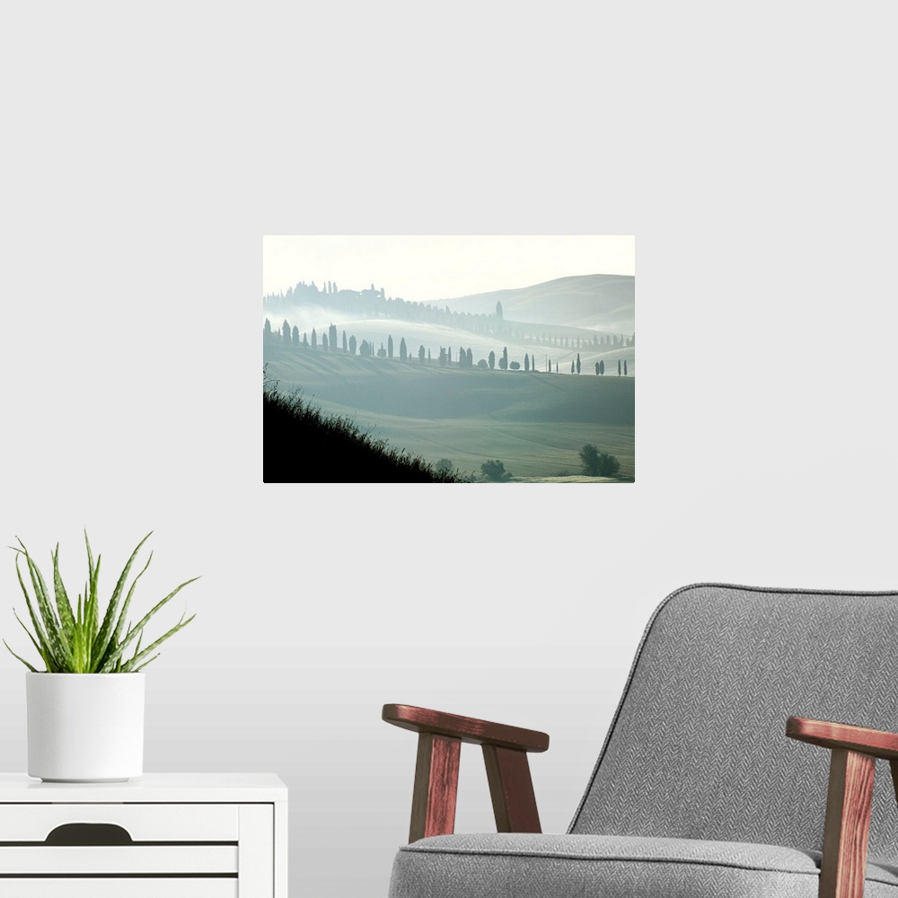 A modern room featuring Italy, Tuscany, Landscape near Siena.