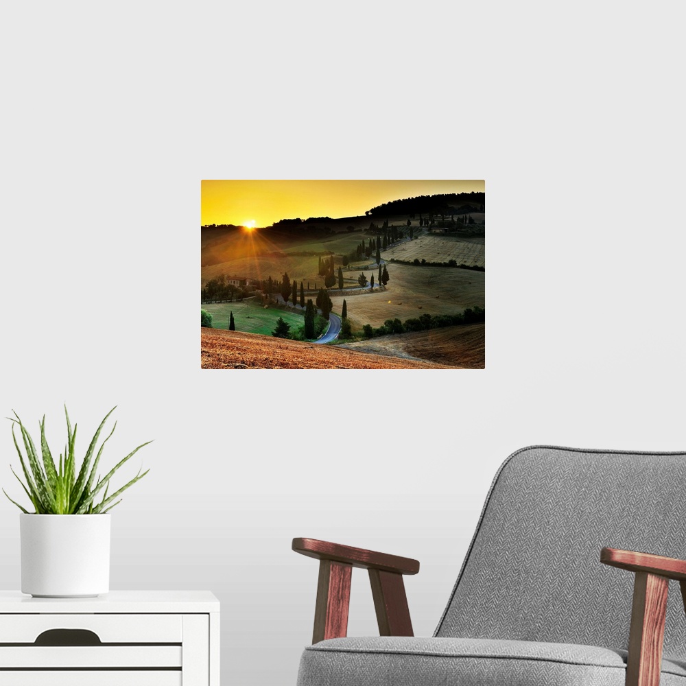 A modern room featuring Italy, Tuscany, Siena district, Orcia Valley, Tree lined road near Pienza
