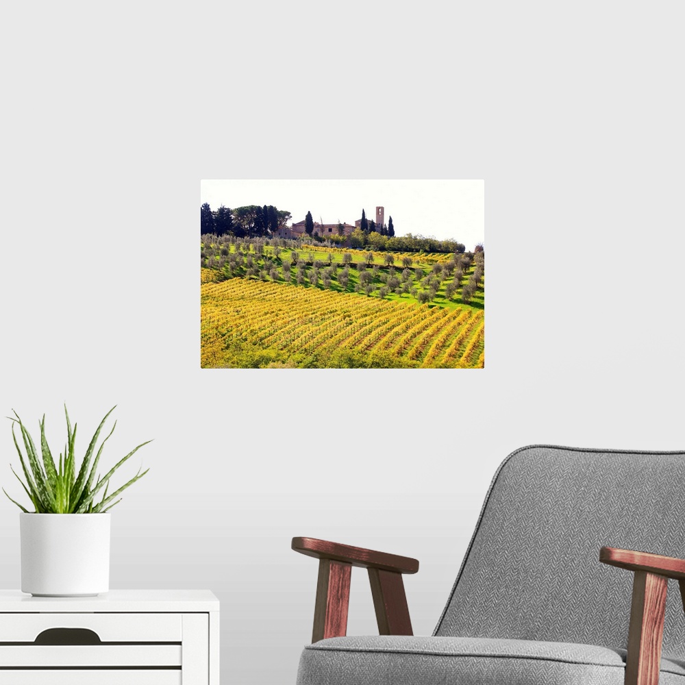 A modern room featuring Italy, Tuscany, Val d'Elsa, Countryside near San Gimignano village