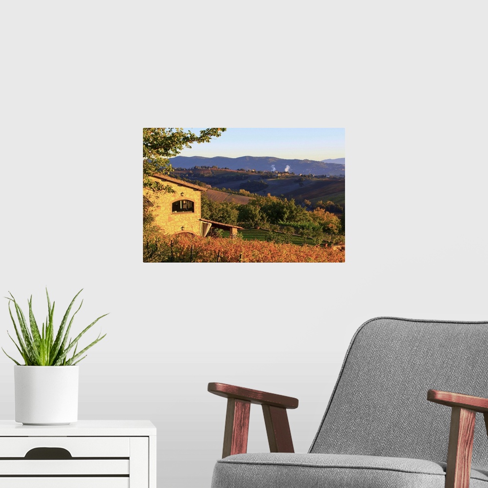 A modern room featuring Italy, Umbria, Mediterranean area, Perugia district, Autumnal Vineyards near Montefalco