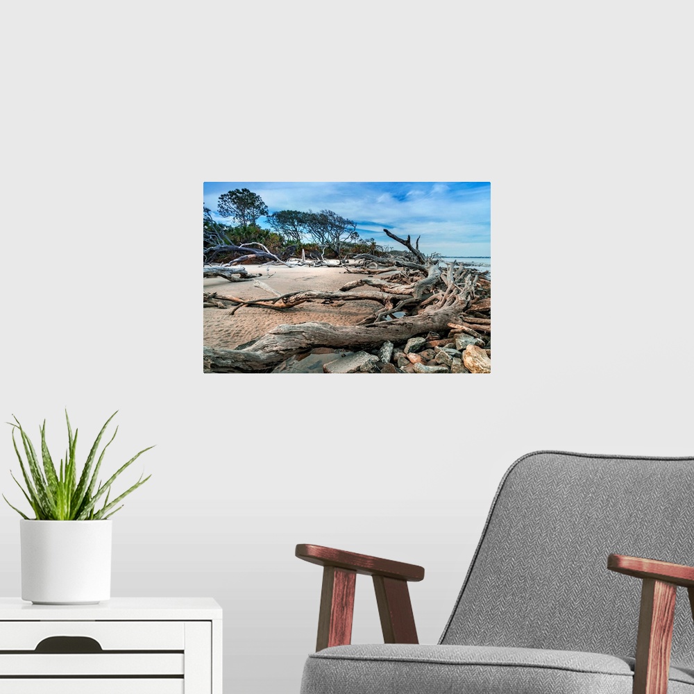 A modern room featuring Jekyll Island, Driftwood Beach.