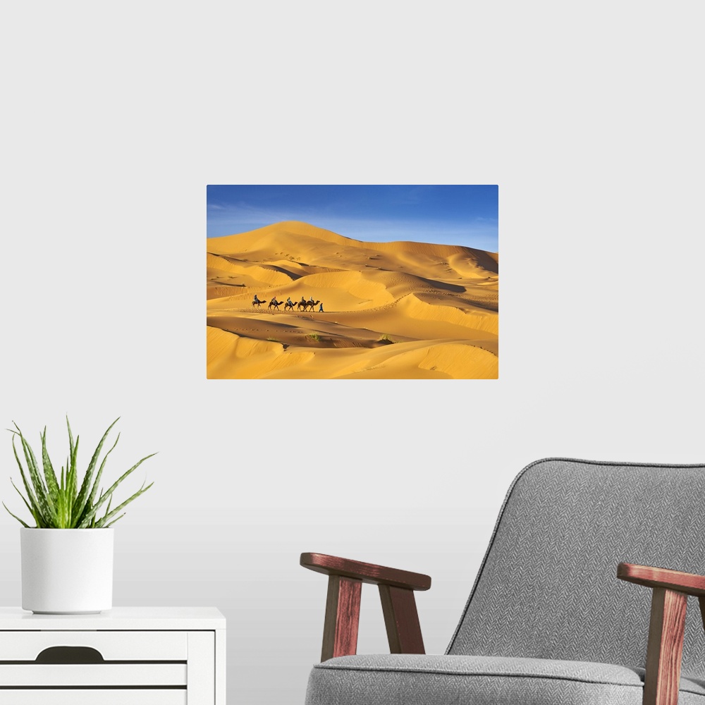 A modern room featuring Morocco, South Morocco, Sahara Desert, Erg Chebbi Desert, Merzouga, Camel Trek in the desert