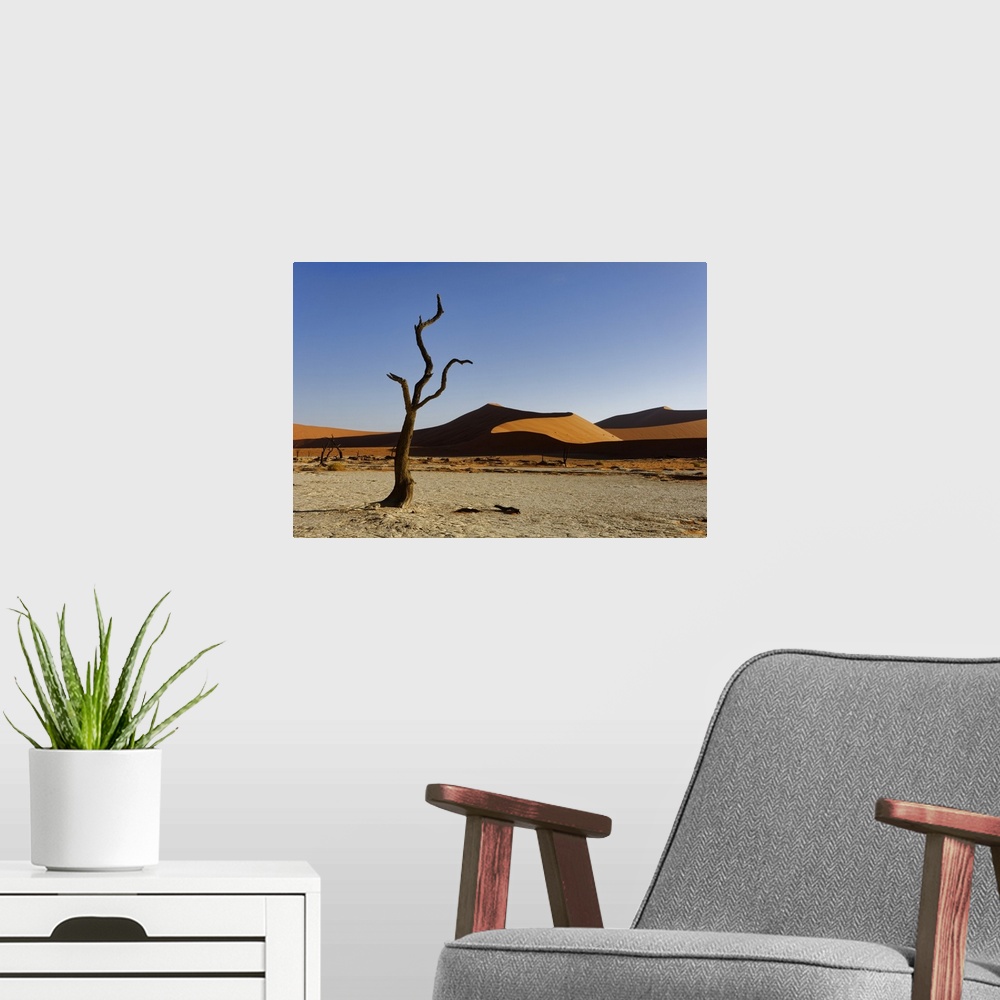 A modern room featuring Namibia, Hardap, Sossusvlei, Namib-Naukluft National Park, Dead camel thorn tree (Vachellia eriol...