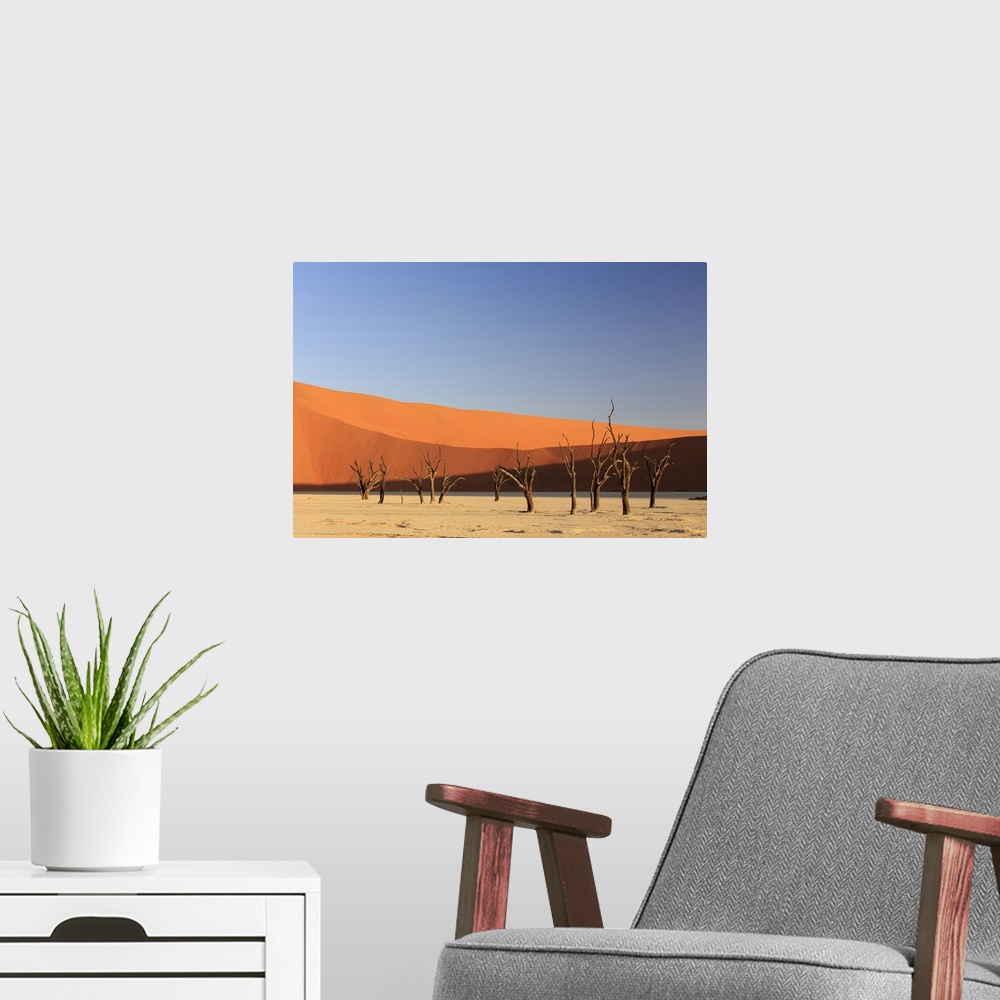 A modern room featuring Namibia, Hardap, Sossusvlei, Namib Desert, Namib-Naukluft National Park, Deadvlei