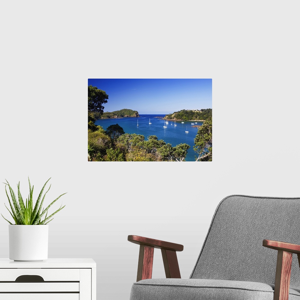 A modern room featuring New Zealand, North Island, Northland, Pacific Bay, Tutukaka CoaSt. Whangarei
