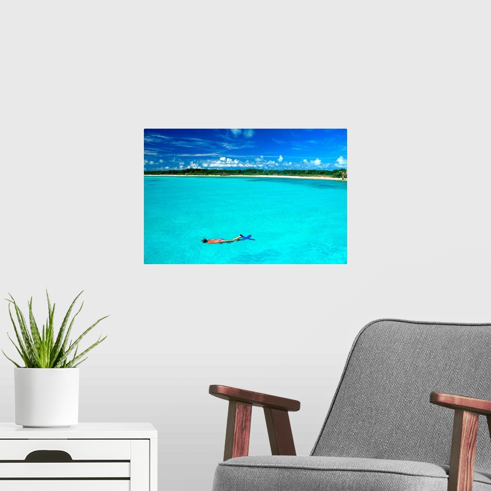 A modern room featuring South America, Venezuela, Los Roques, Los Roques National Park, snorkeling