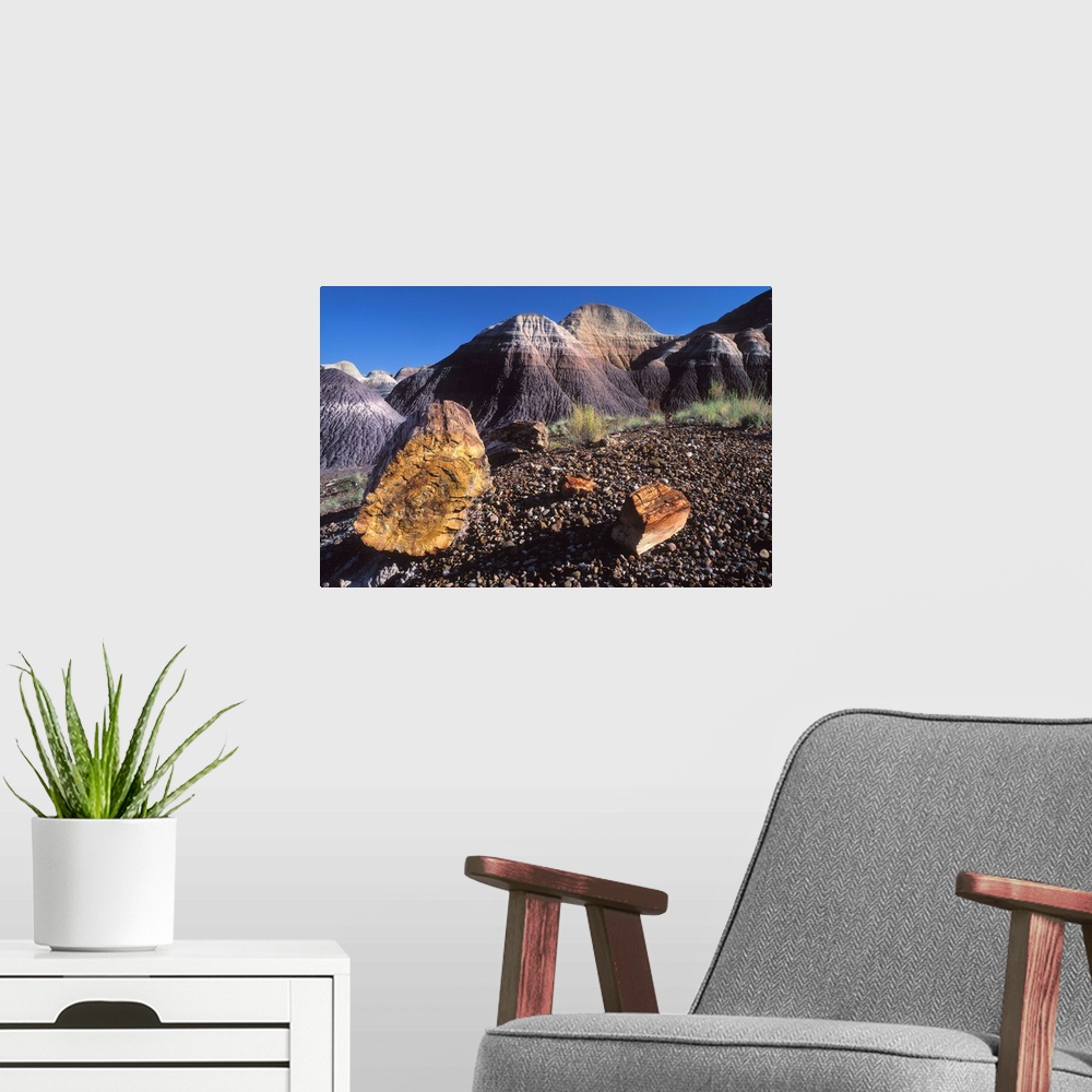 A modern room featuring United States, Arizona, Petrified Forest National Park