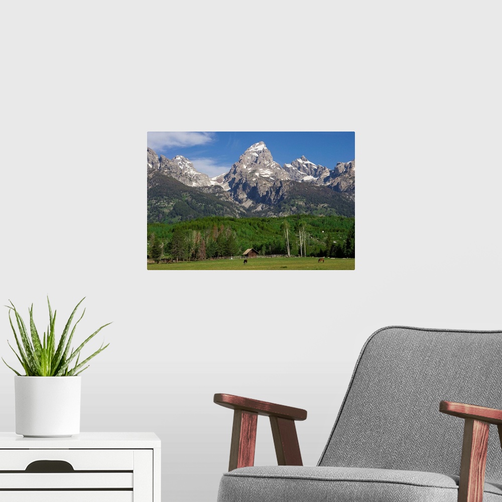 A modern room featuring United States, USA, Wyoming, Grand Teton National Park