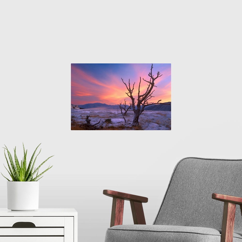 A modern room featuring US, Wyoming, Yellowstone National Park, Mammoth Hot Springs area