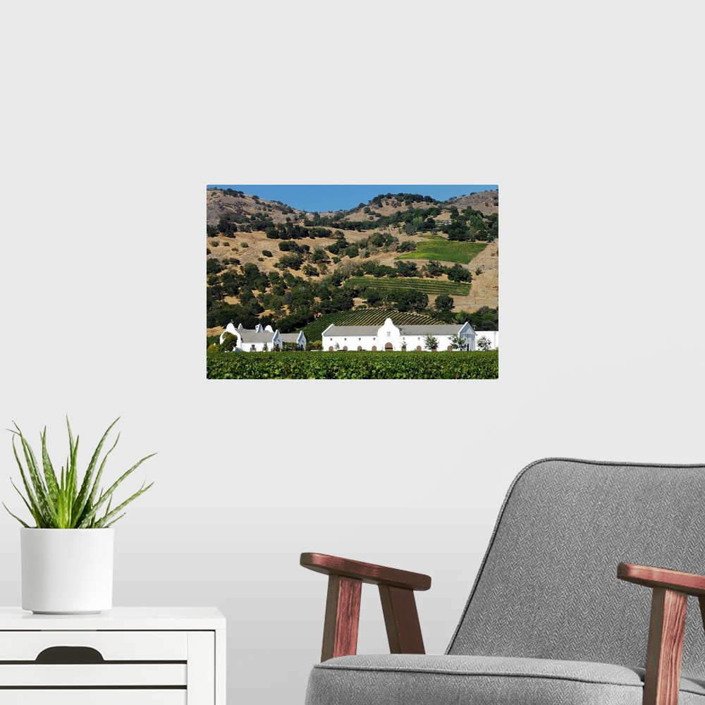A modern room featuring USA, California, Napa Valley, Vineyard