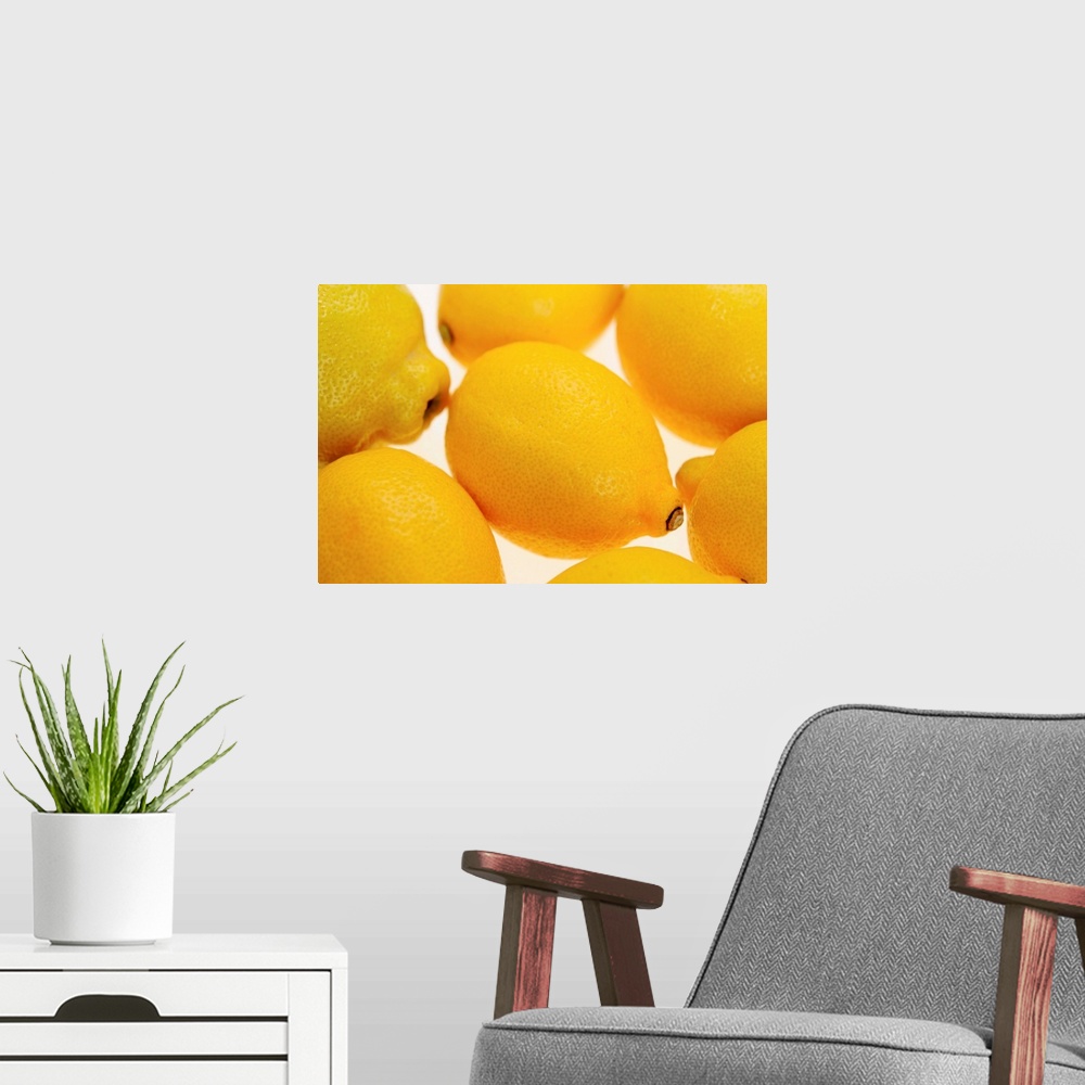 A modern room featuring Organic Food, Organic Lemons