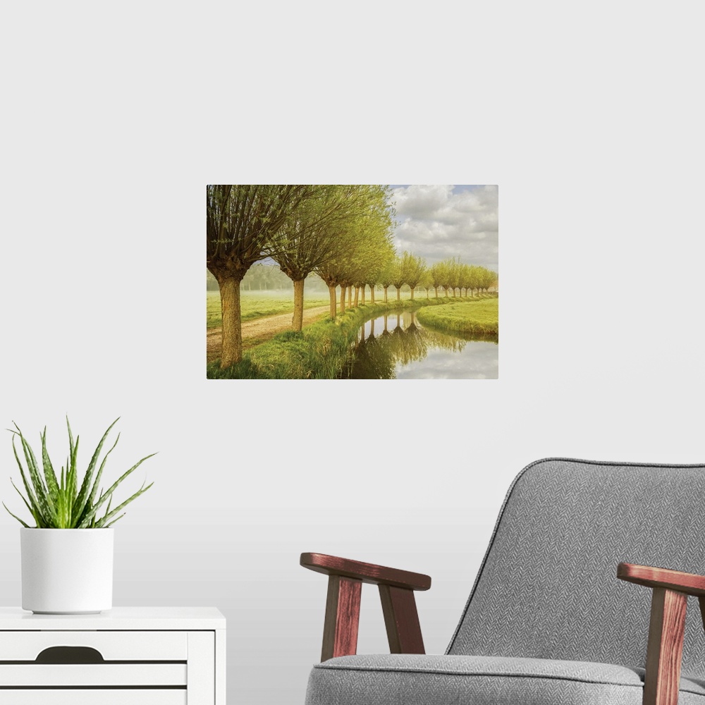 A modern room featuring Photograph of a row of trees along a canal in the countryside.