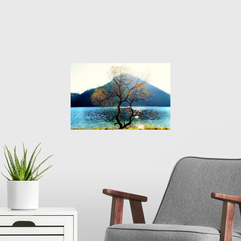 A modern room featuring A photograph of an almost bare tree with few yellow leaves in the foreground and a lake and mount...