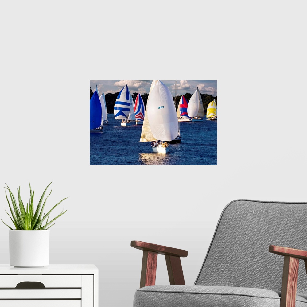 A modern room featuring A mass of sailboats sail together over calm water on a cloudy day.