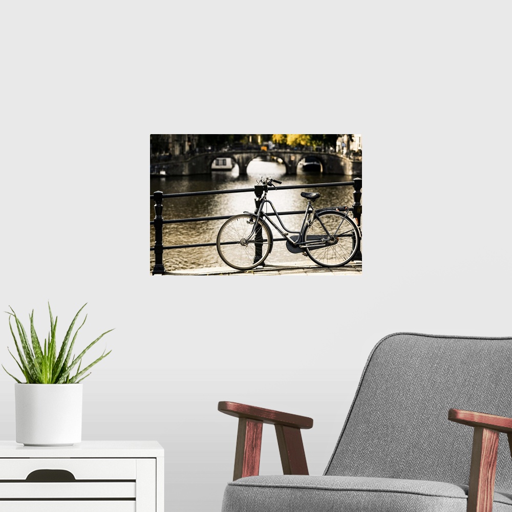 A modern room featuring Amsterdam Gray Bicycle