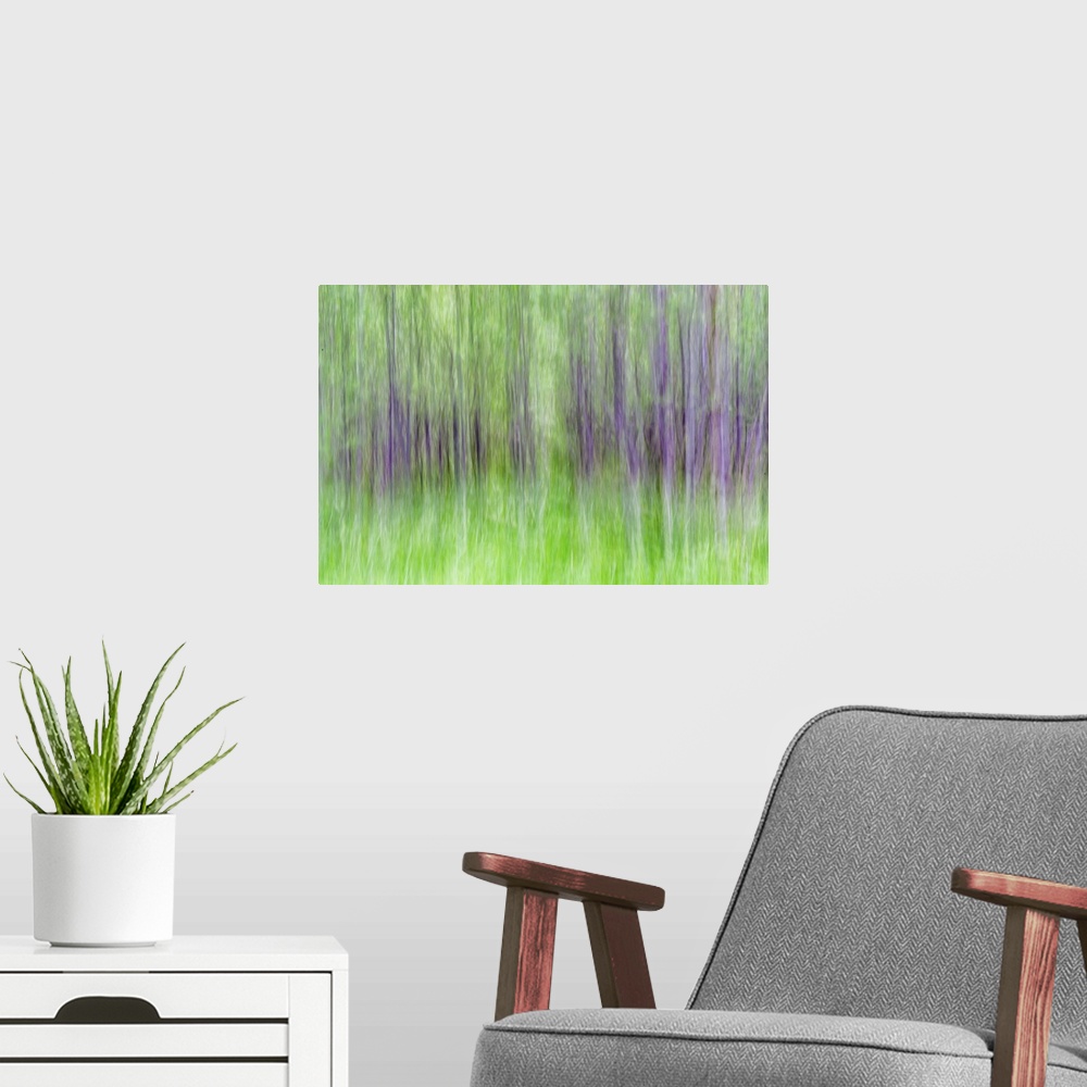 A modern room featuring Blurred photo of aspen trees in a forest, creating an abstract image.