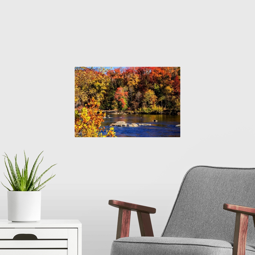 A modern room featuring Autumn by the River -1