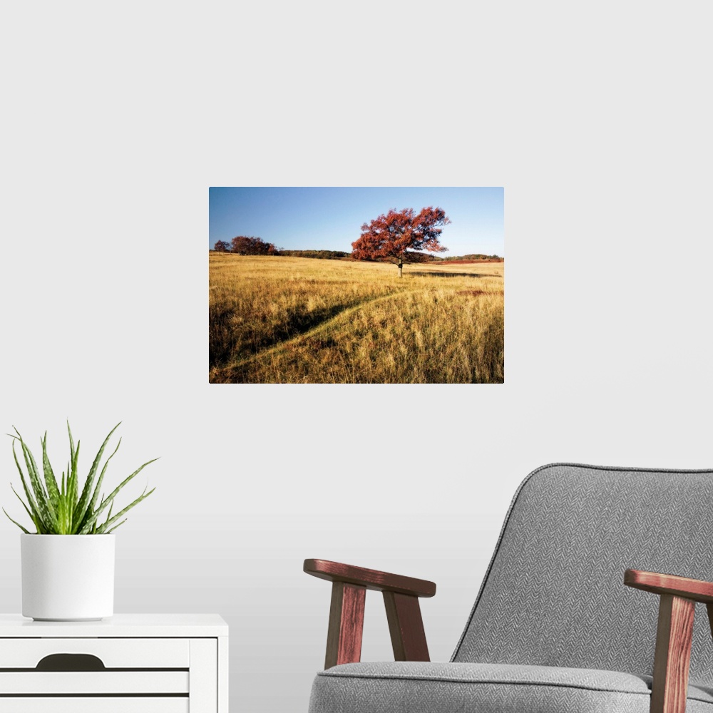 A modern room featuring Autumn Meadow I