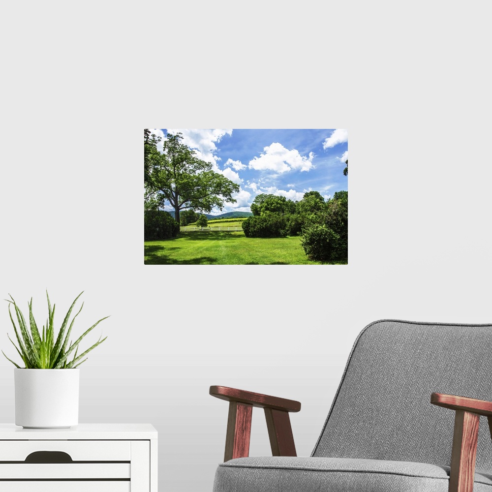 A modern room featuring Landscape photograph of the hilly countryside in Barboursville, VA.