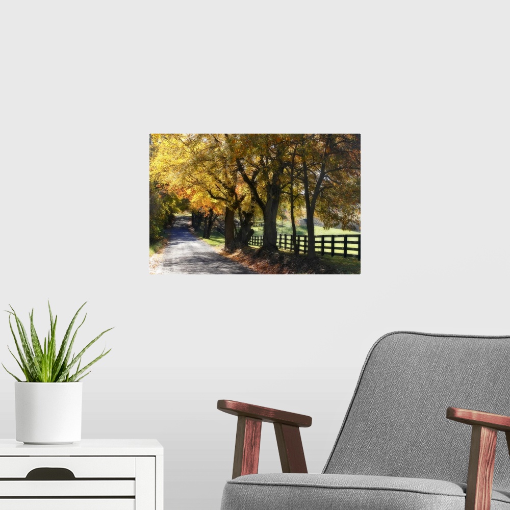 A modern room featuring A gravel road in the countryside lined by colorful trees during the fall.
