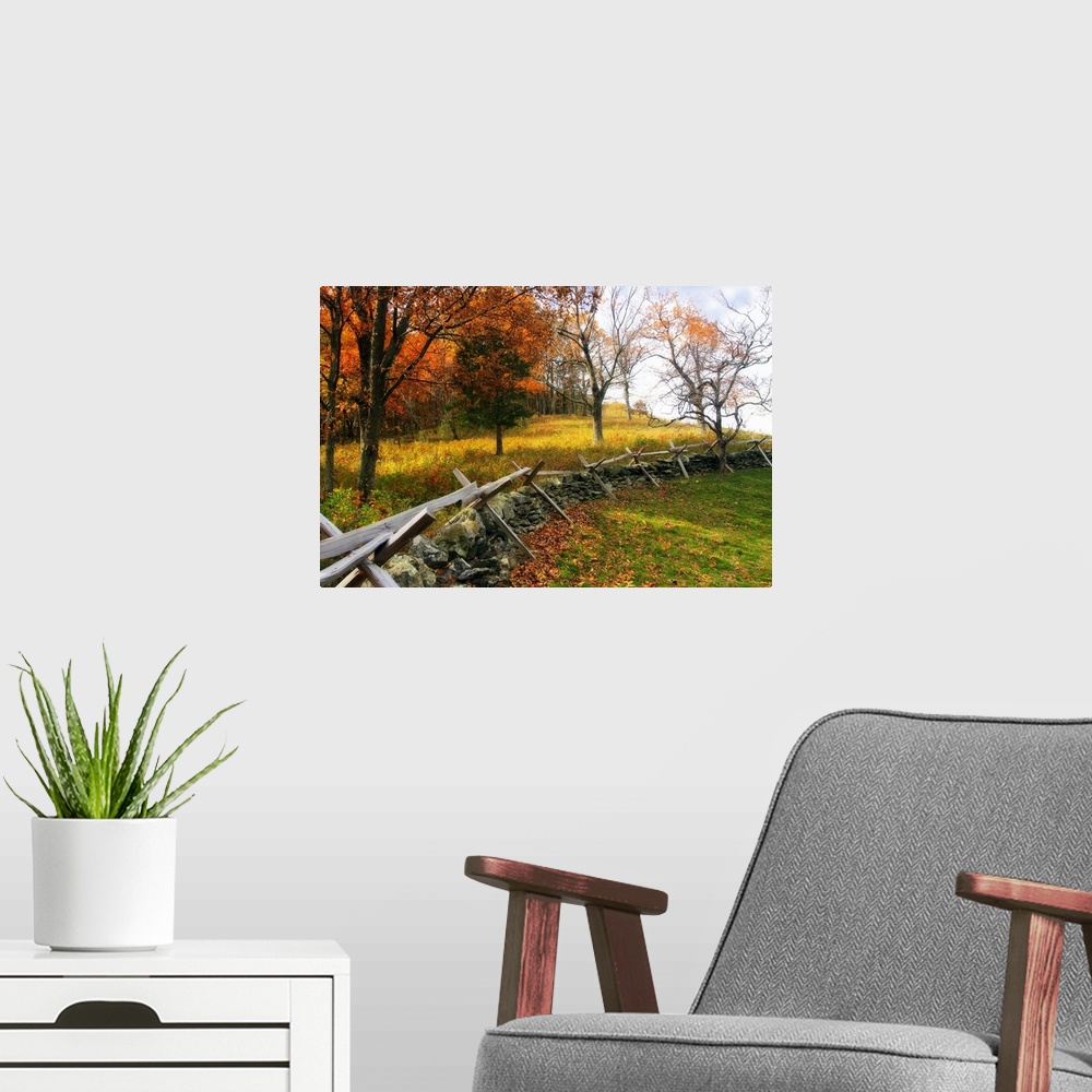 A modern room featuring Photograph of low fence line used as a fire wall in fall forest.