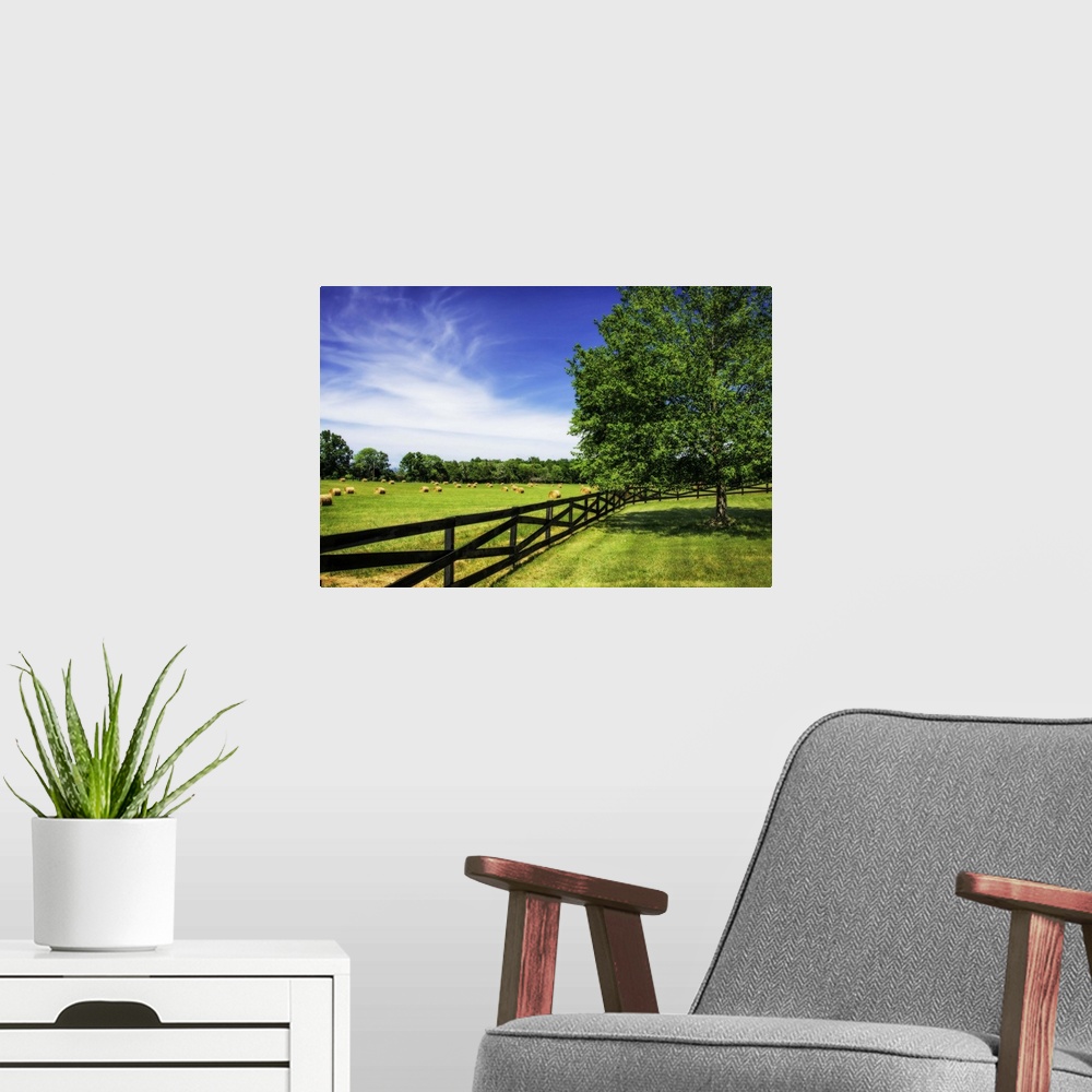 A modern room featuring A fence along the edge of a farm on a sunny day with a bright blue sky.