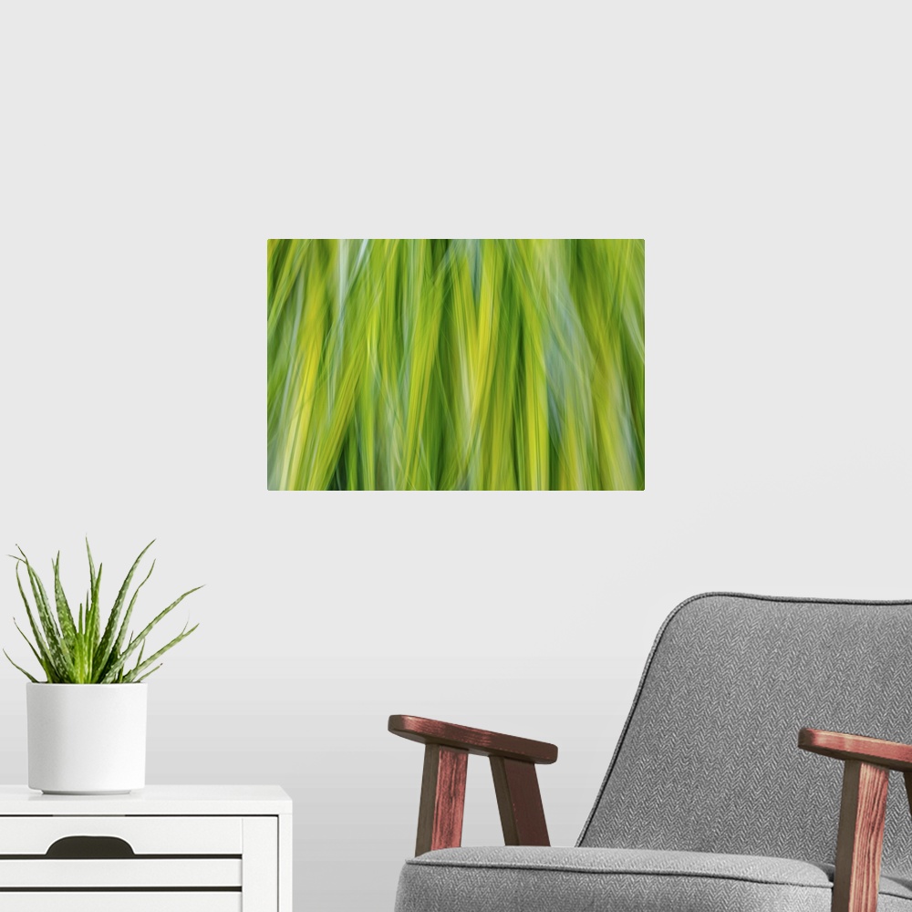 A modern room featuring Japanese Forest Grass II