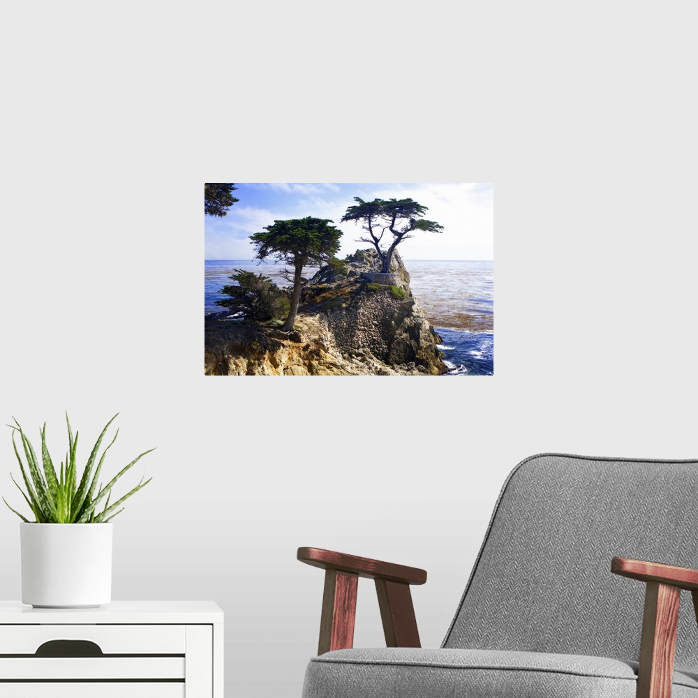 A modern room featuring Photograph of a solitary tree atop a cliff overlooking the water in California.