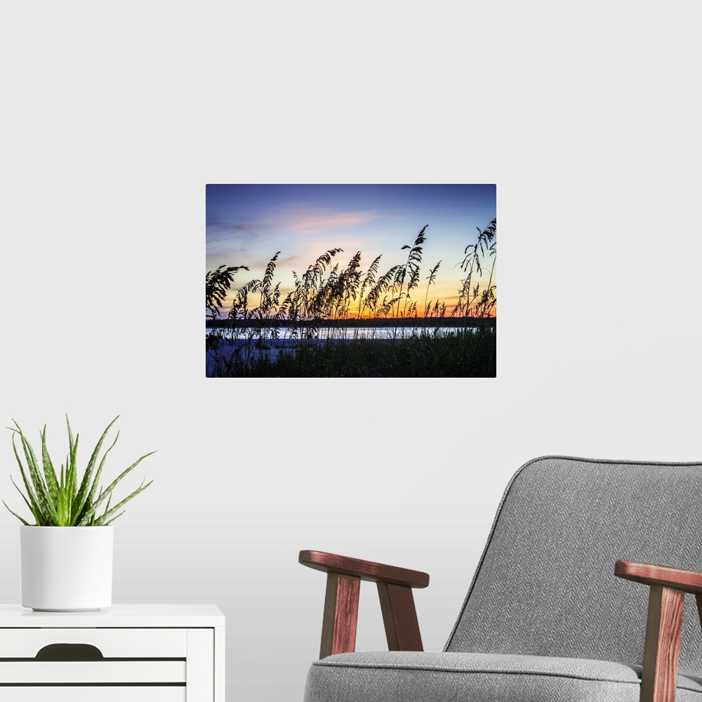 A modern room featuring Silhouette of beach grasses against the bright colors of the sunset sky.
