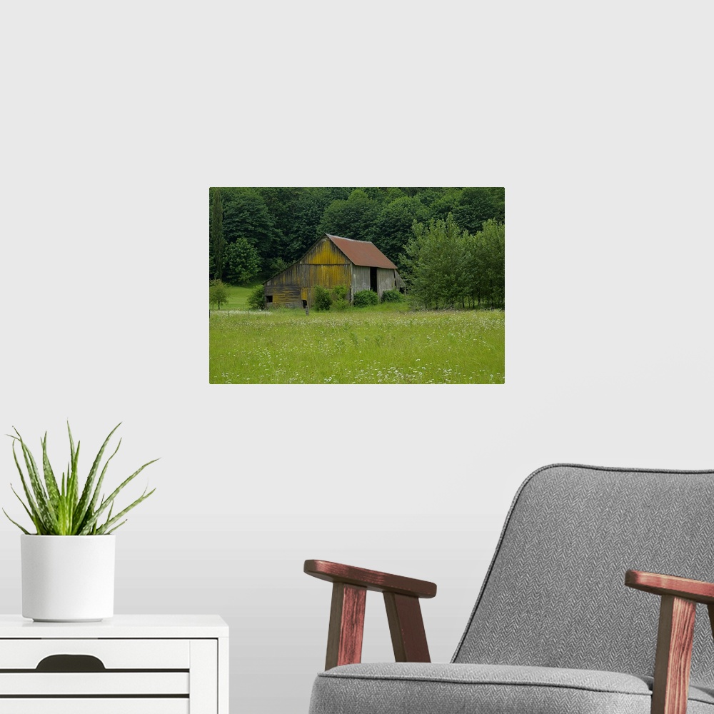 A modern room featuring An old wooden barn near a forest at the edge of a field.