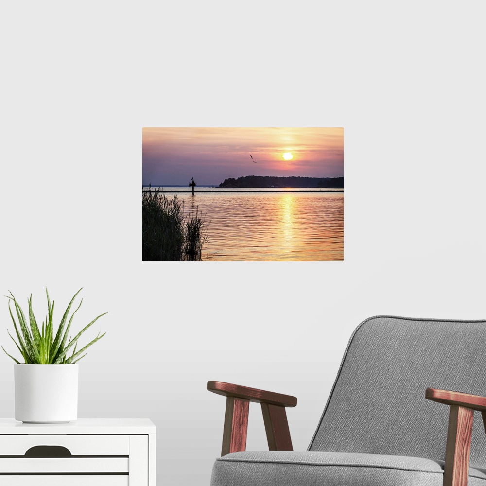 A modern room featuring Ospreys flying in the pastel sky at sunset over the ocean.